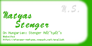 matyas stenger business card